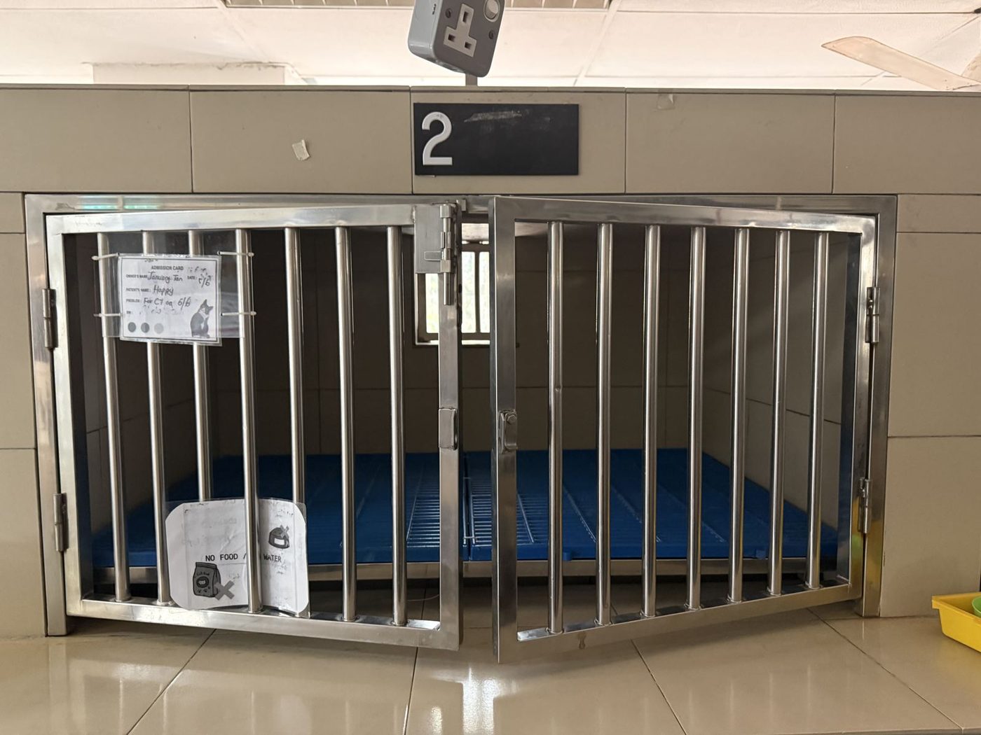 Large boarding kennel with raised bed