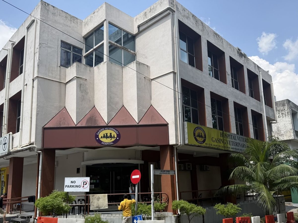 The two joined three-storey hospital buildings on their corner in Gasing Indah