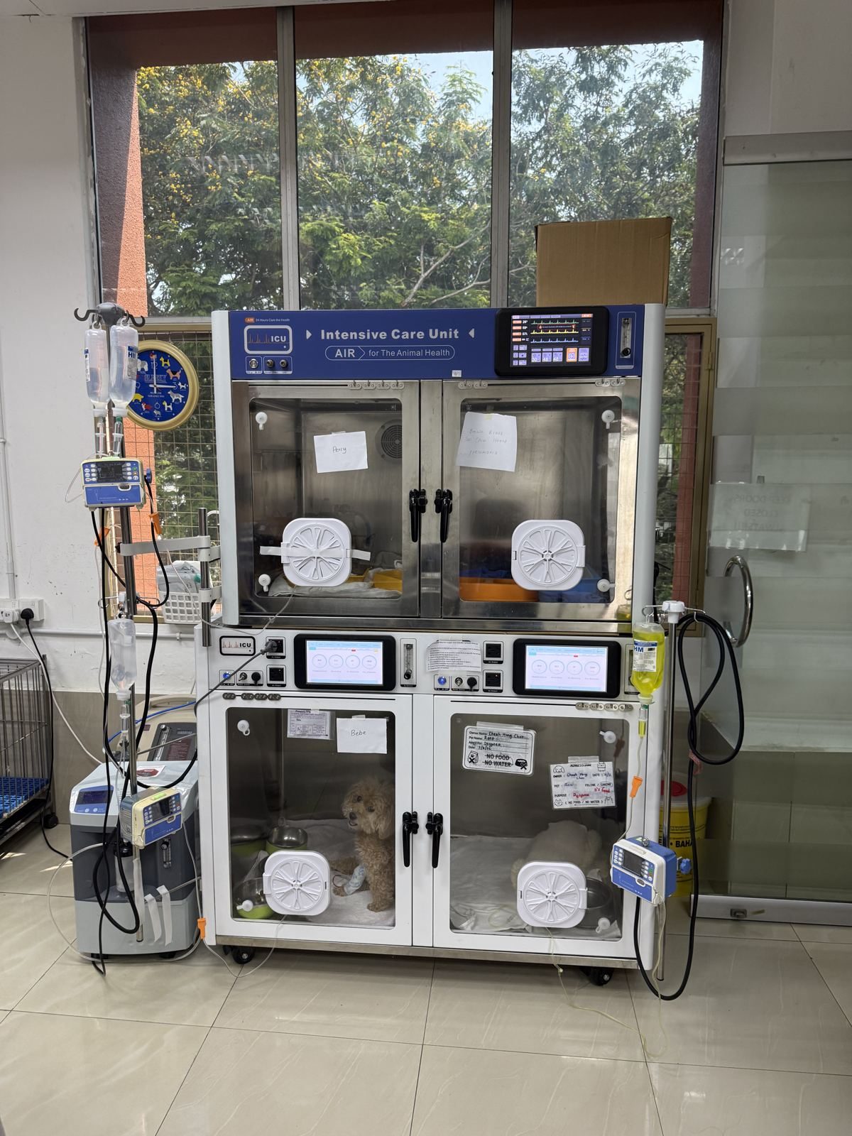 Oxygen-equipped intensive care cabinet