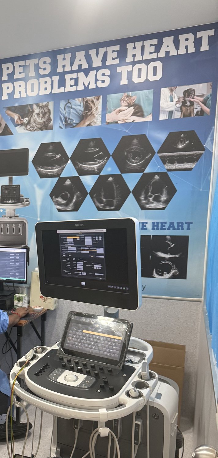 Ultrasound, echocardiography and endoscopy station at Gasing Veterinary Hospital